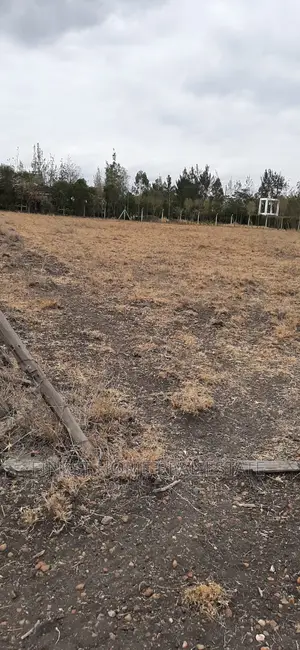 1/2 Acre Plot for Sale