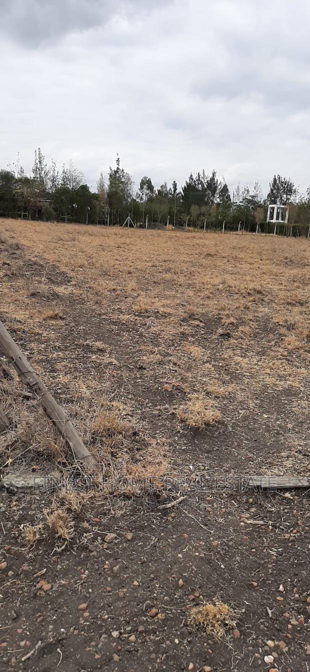 1/2 Acre Plot for Sale - thumbnail 4