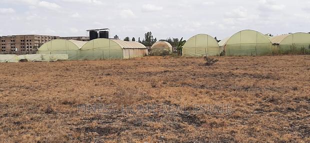 1/2 Acre Plot for Sale - thumbnail 3