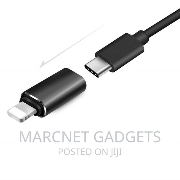 iPhone Otg