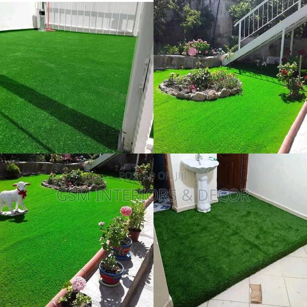 Grass Carpet Grass Carpet Grass Carpet Grass Carpet Grass