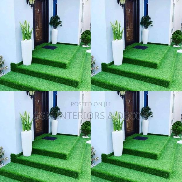Grass Carpet Grass Carpet Grass Carpet Grass Carpet Grass