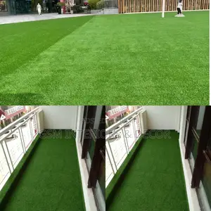 Grass Carpet Grass Carpet Grass Carpet Grass Carpet Grass
