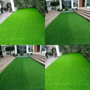 Grass Carpet Grass Carpet Grass Carpet Grass Carpet Grass