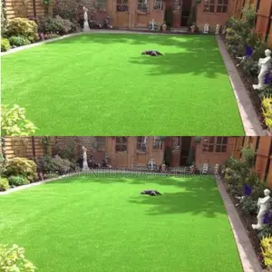 Grass Carpet Grass Carpet Grass Carpet Grass Carpet Grass