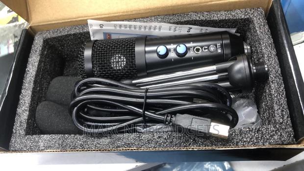 Usb Mic With Echo and Volume - main view
