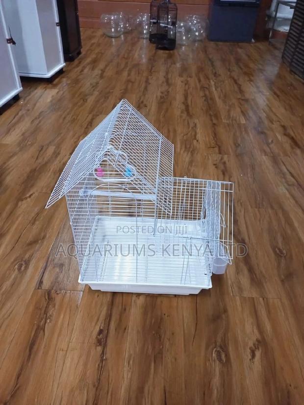 White Lovebirds, Budgies Cages,Cages for Birds - main view