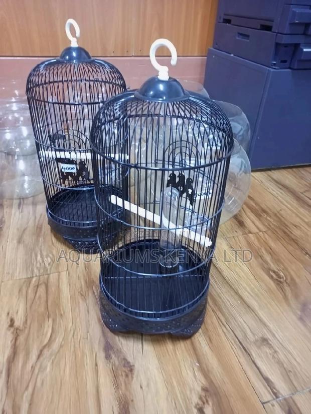 Black in Colour Lovebirds Cages,Cages - main view