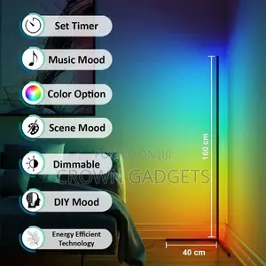 Corner Floor Lamp Simple Design