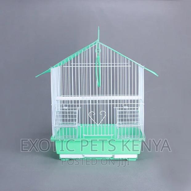 Green Bird Cages Standard Size - main view