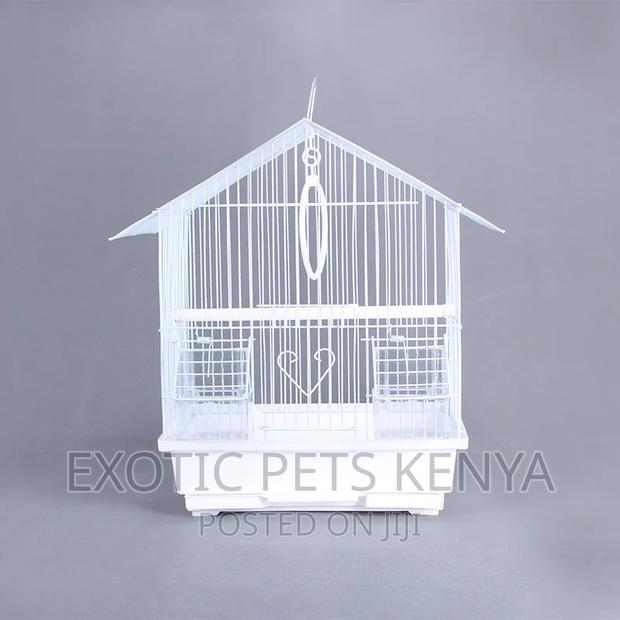 White Bird Cages Standard Size - main view