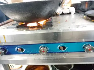 Gas Cooker and Ovens Repair