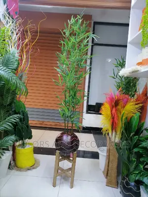 2m Calabash, Bamboo Sticks and Wooden Stand