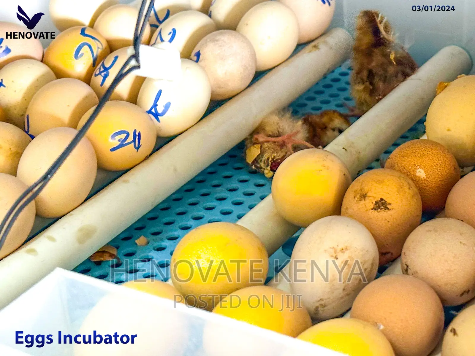 70eggs Incubator.Best Quality Ever.In Kiambu Ruiru