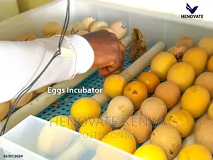 70eggs Incubator.Best Quality Ever.In Kiambu Ruiru