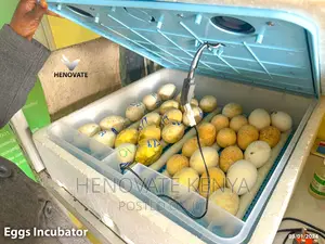 70eggs Incubator.Best Quality Ever.In Kiambu Ruiru