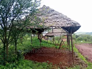 Fundi Makuti Mombasa