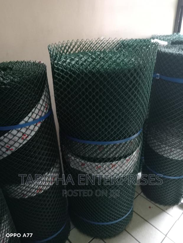 Chicken Plastic Wire Mesh - main view