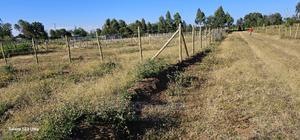 Several Plots for Sale in Illula Eldoret - thumbnail 2