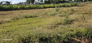 Several Plots for Sale in Illula Eldoret