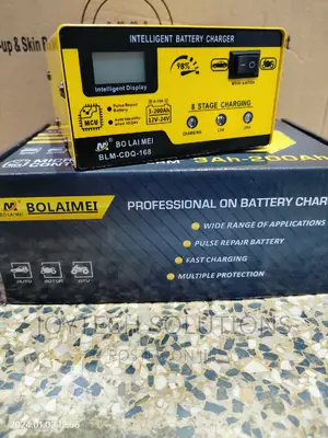 Automatic Battery Charging Machine 12/24 v With Auto Select