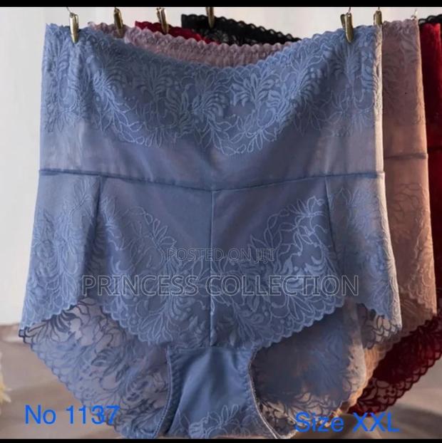 Plus Size Ladies Panties - main view