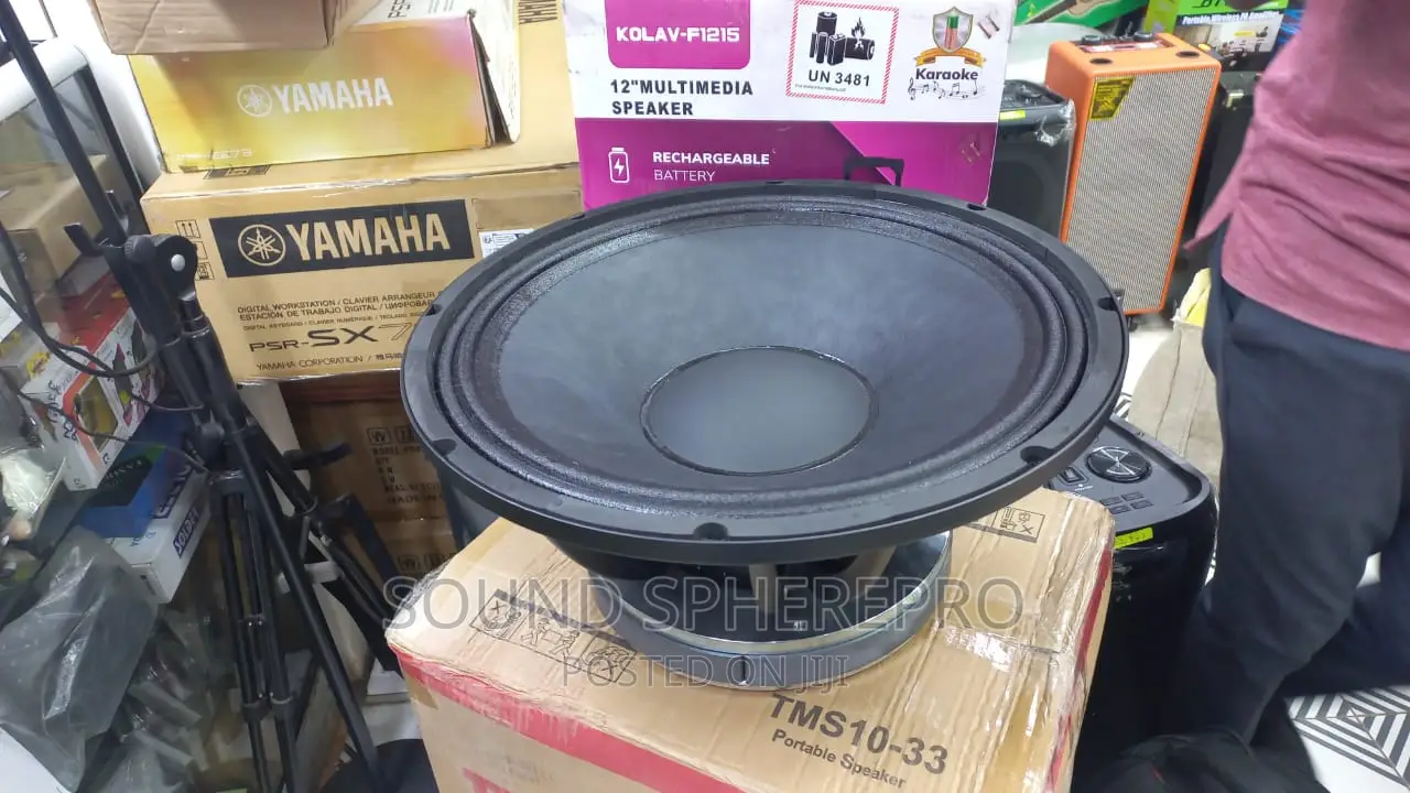 18 Inch Bass Speaker
