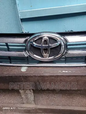 Vigo Front Grille and Logo