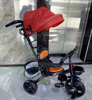 Tricycle With Canopy Push Handle - thumbnail 2