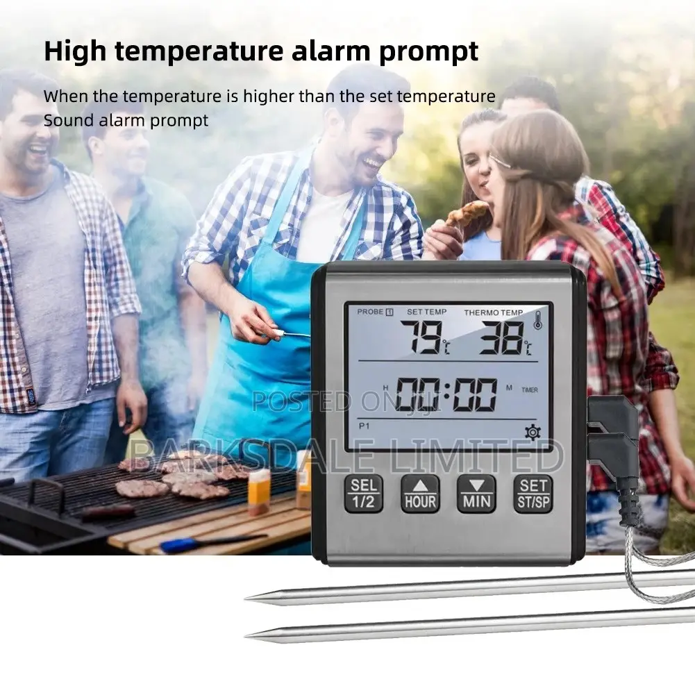BBQ Smoker Grill Dual Probe Digital Meat Thermometer LCD Two