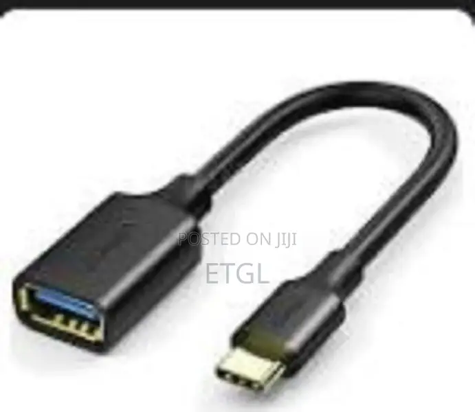 UGREEN Type C to USB 3.0 a Adapter Cable With Lanyard- US270