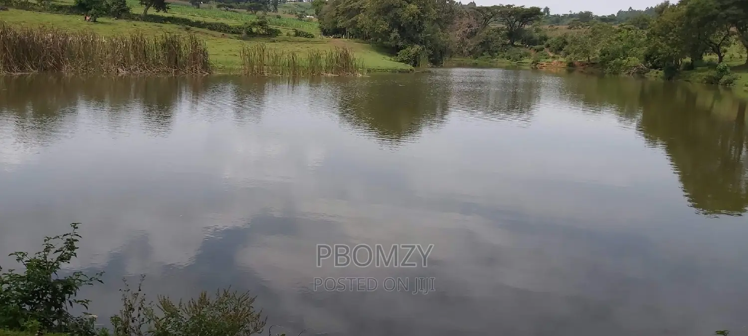 5 Acres of Land Has a Dam Nearby.