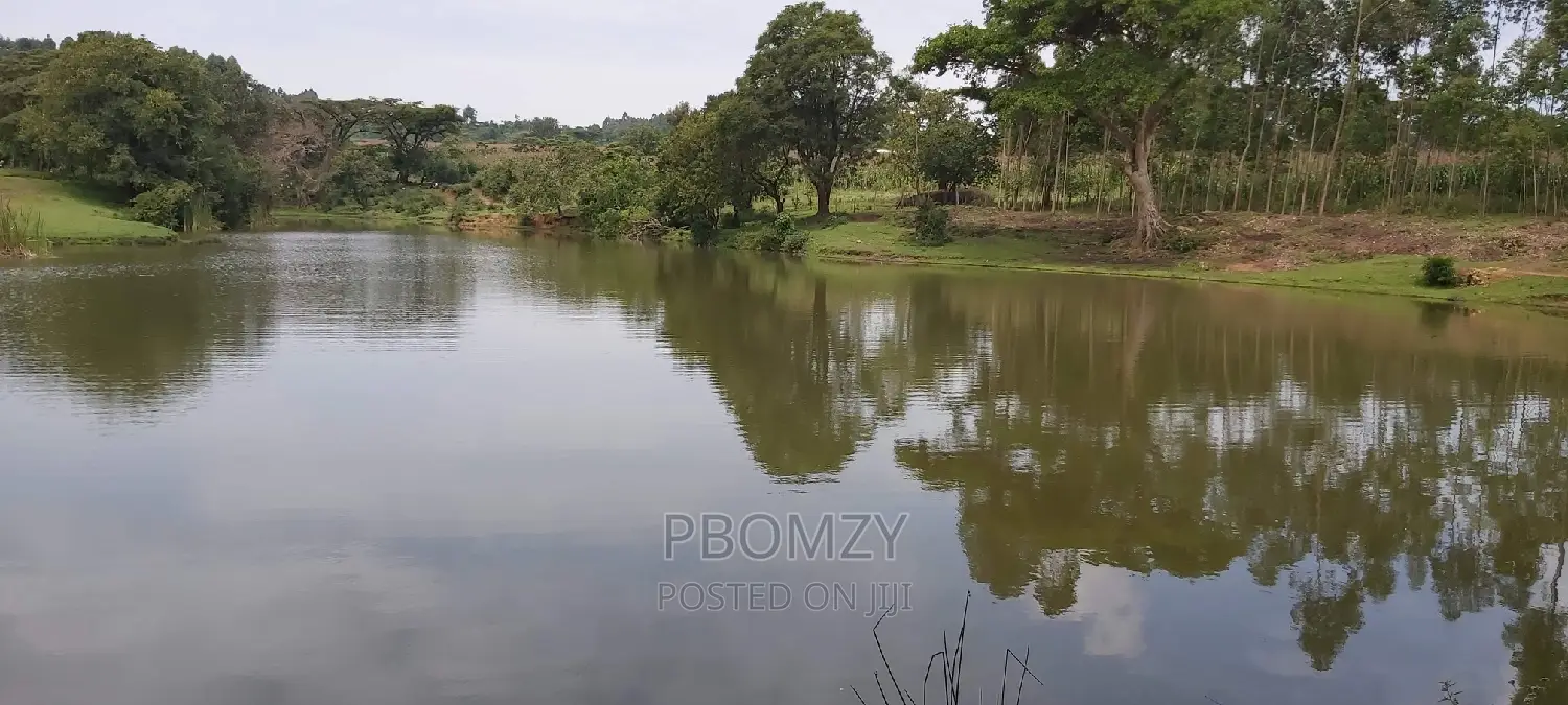 5 Acres of Land Has a Dam Nearby.