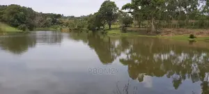 5 Acres of Land Has a Dam Nearby.