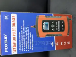 12v Battery Pulse Charger
