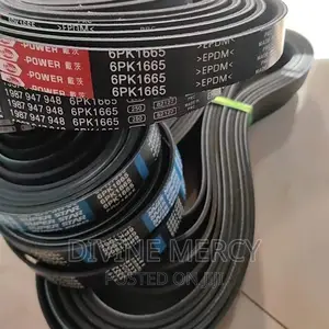 Fun Belts 6pk