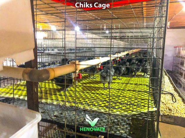 Chicken Cage - thumbnail 3