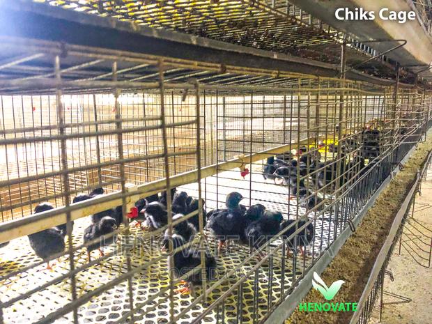 Chicken Cage - thumbnail 4