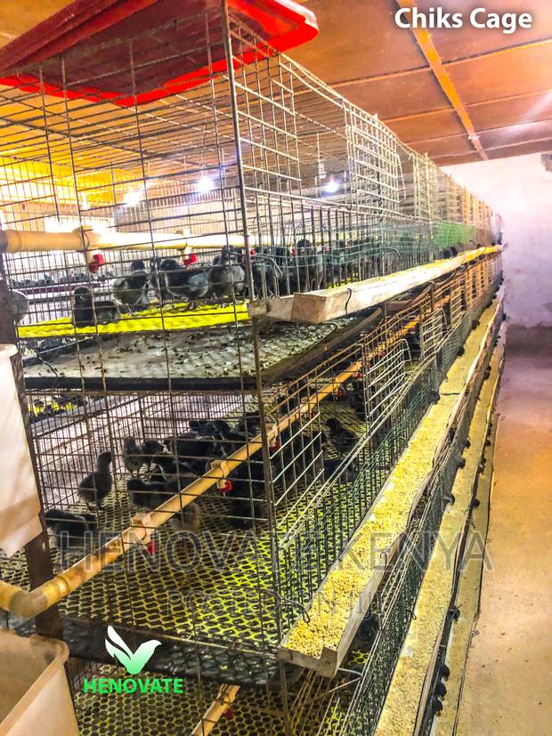Chicken Cage - thumbnail 5