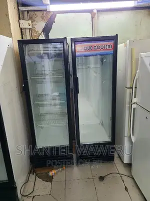 Display Fridge 300 Litres