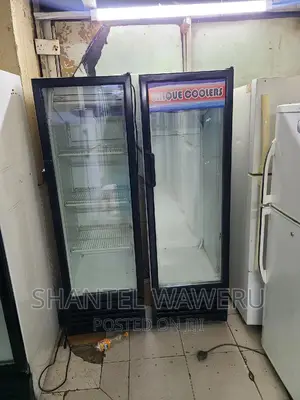 Display Fridge 300 Litres