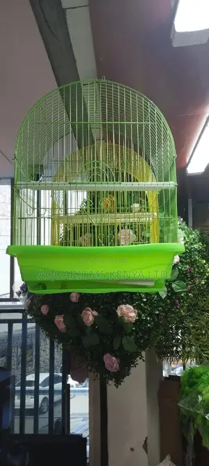 Lovebirds Cages,Cages for Green Birds