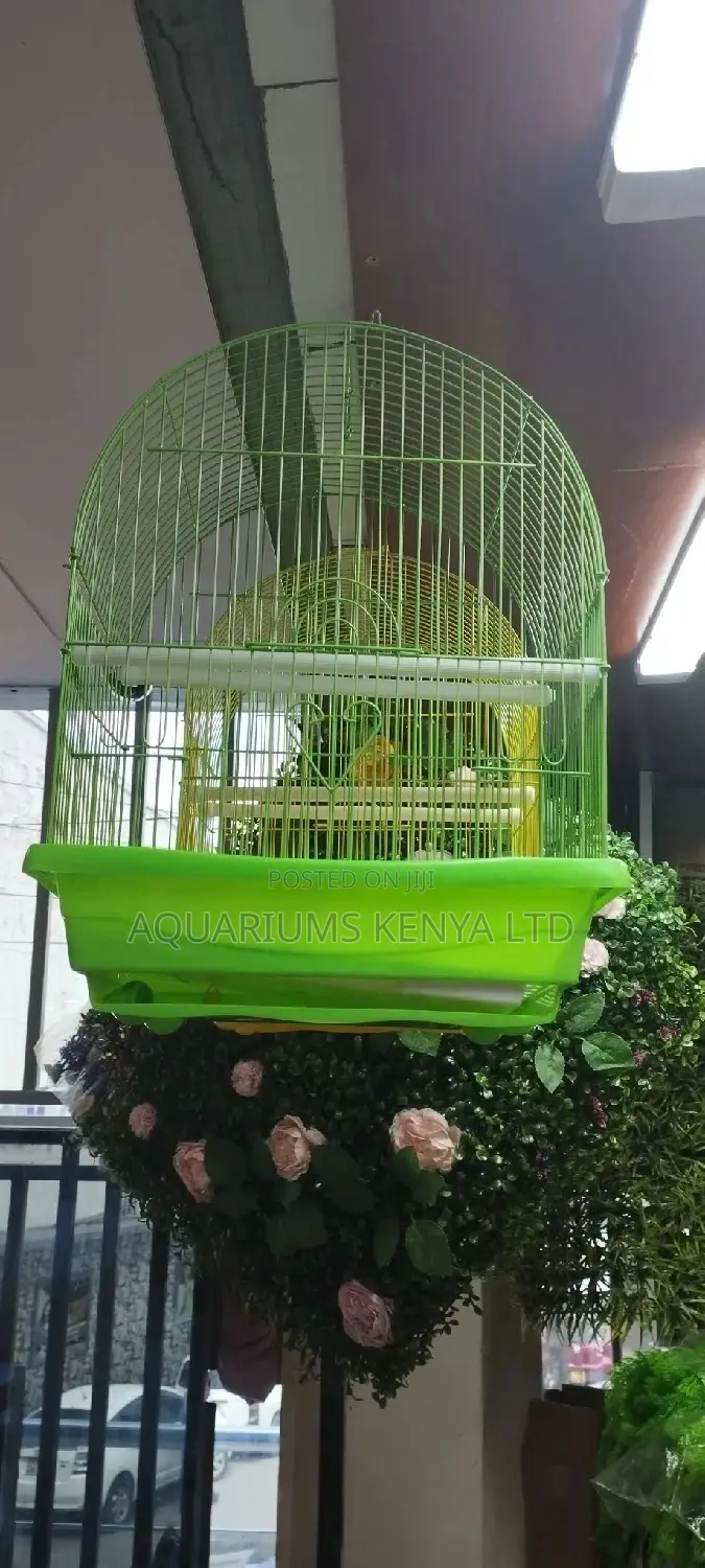 Hanging Cages for Small Birds,Cages