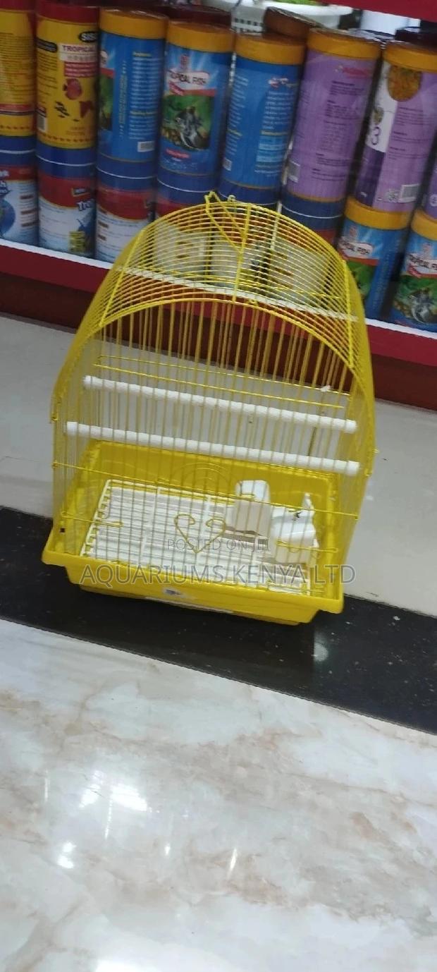 Budgies Cages With a Rod and Drinker,Caged - main view
