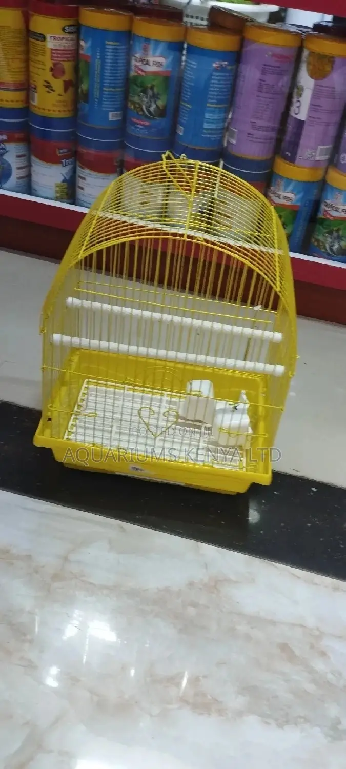 Budgies Cages With a Rod and Drinker,Caged