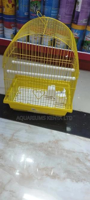 Yellow,Green Colourful Cages,Bird Caged - thumbnail 2