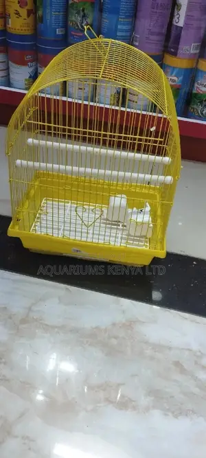Yellow,Green Colourful Cages,Bird Caged