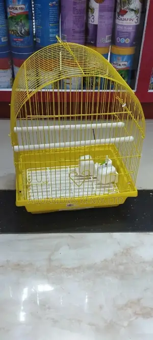 Affordable Yet Spacious Bird Cages,Cages for Birds