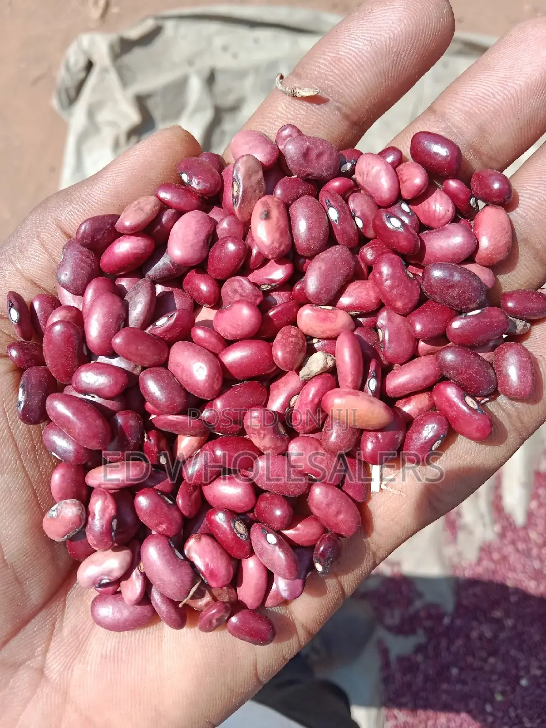 Wairimu Beans