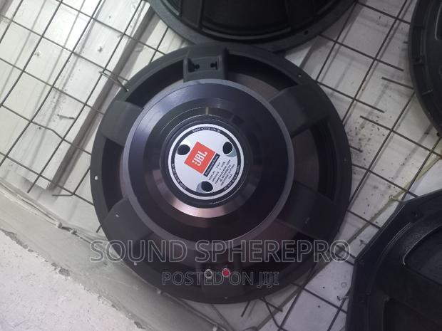 Naked JBL 18 Inch Bass Speaker